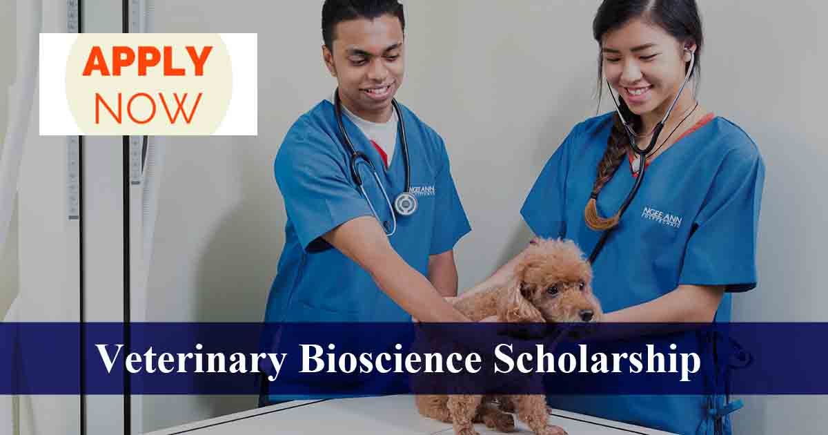 Undergraduate International Veterinary Bioscience Scholarships